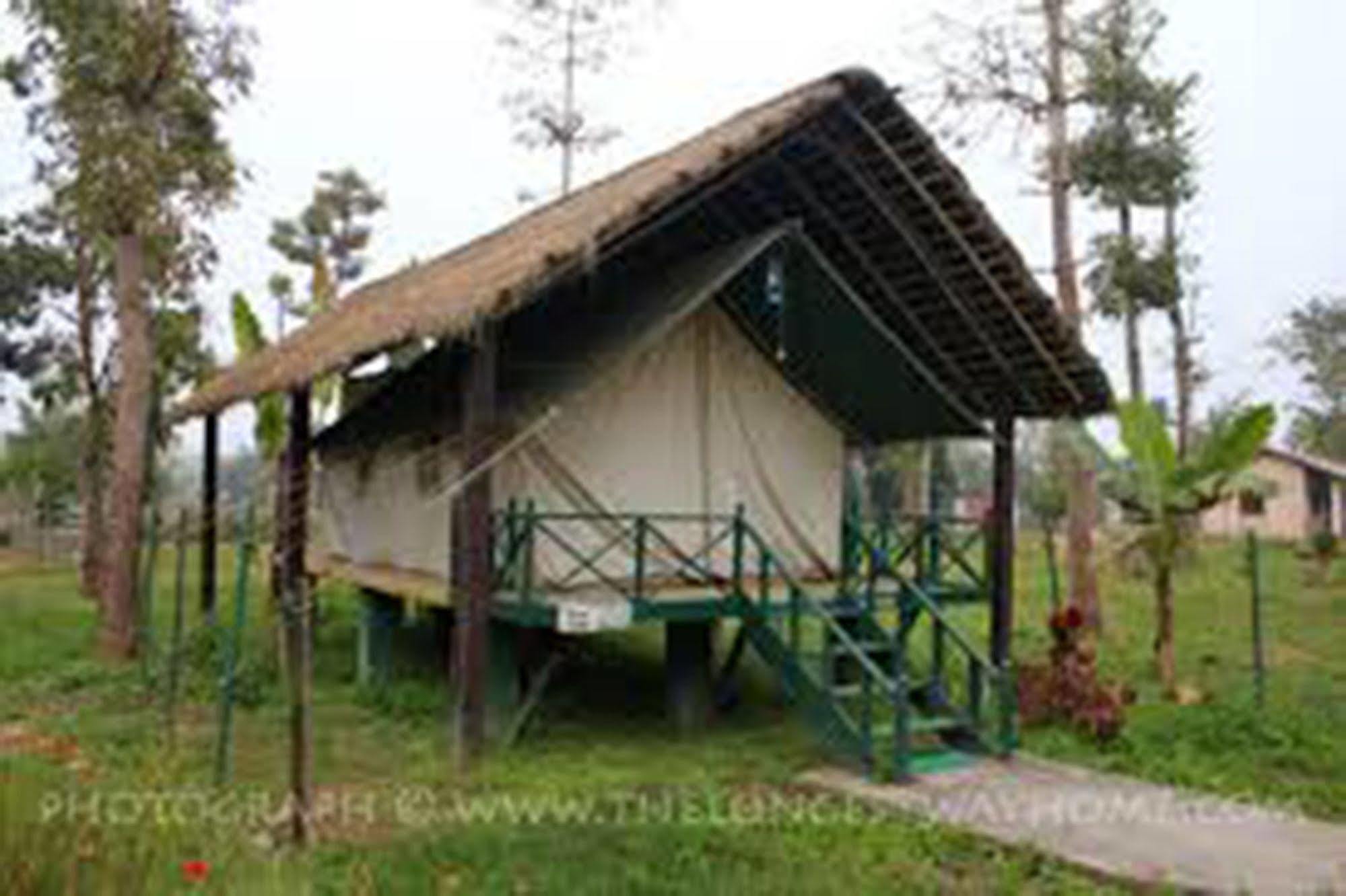 Chitwan Adventure Resort Sauraha Kültér fotó