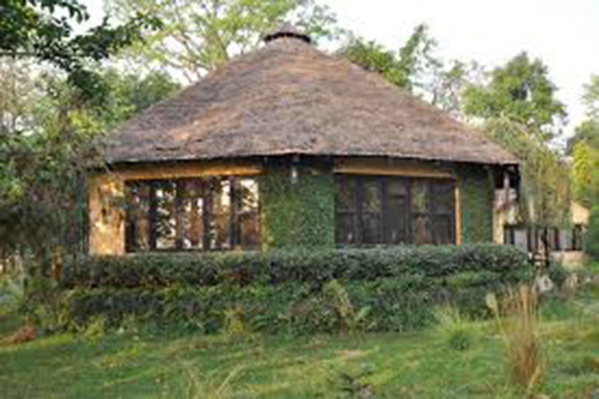 Chitwan Adventure Resort Sauraha Kültér fotó