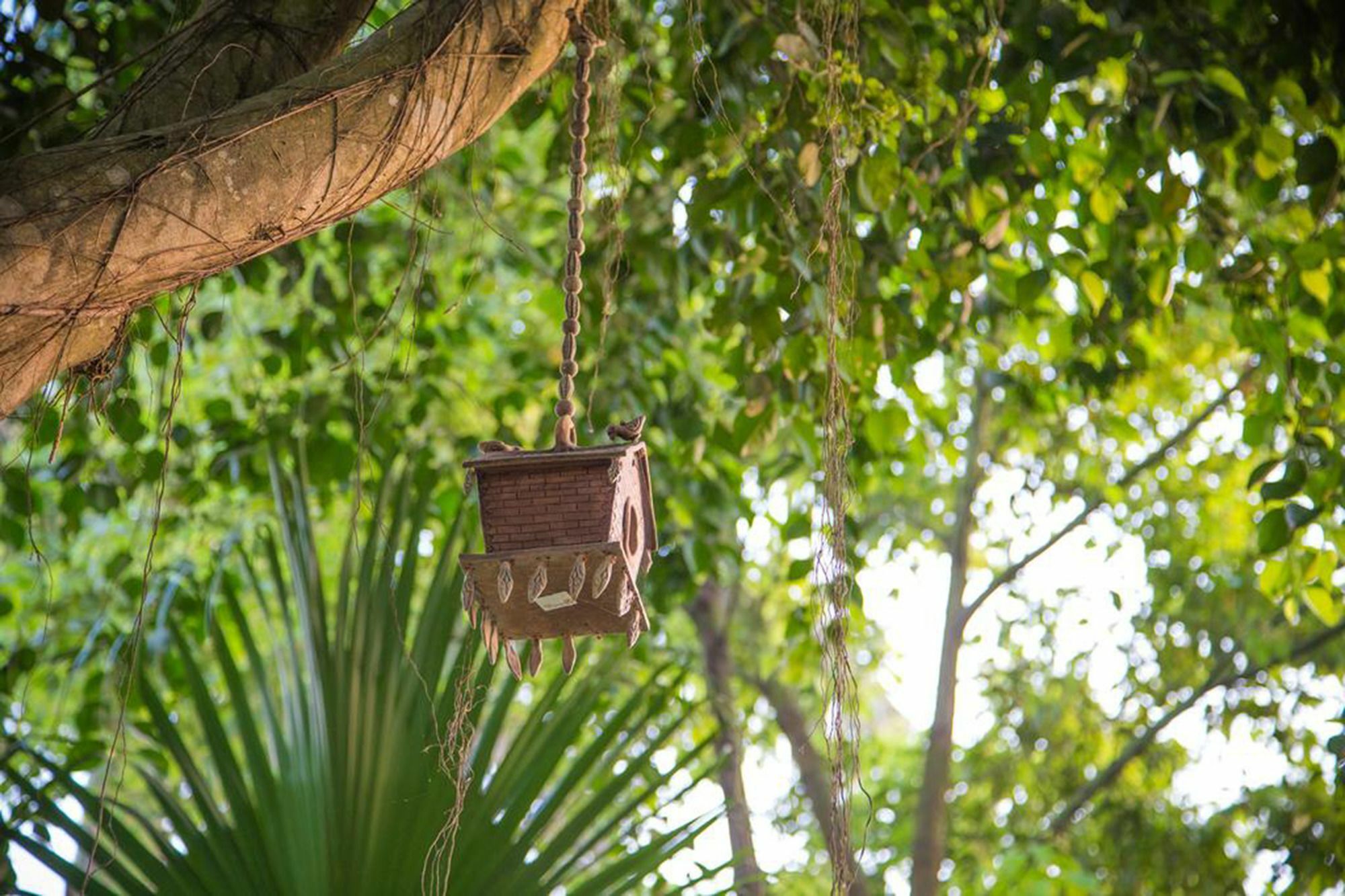 Chitwan Adventure Resort Sauraha Kültér fotó
